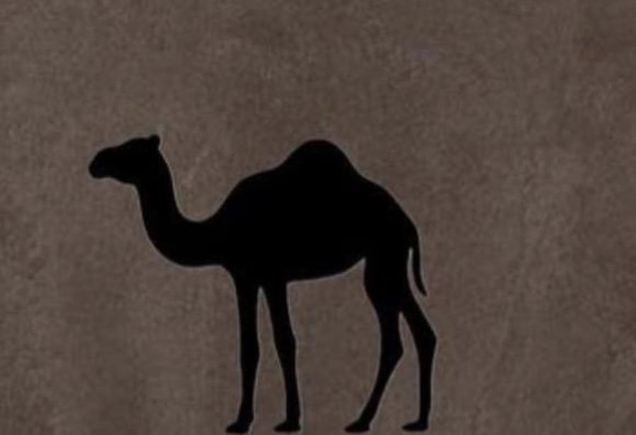 رسوم شحن الاستبدال