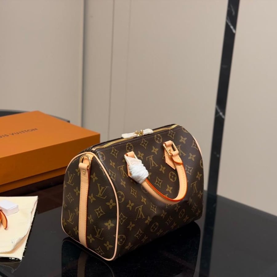 LV 25 bag
