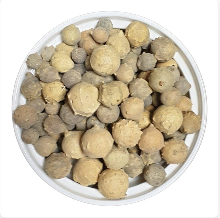 عفص