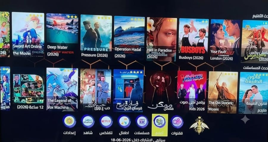اشتراك Bee Playerمدة12 شهر