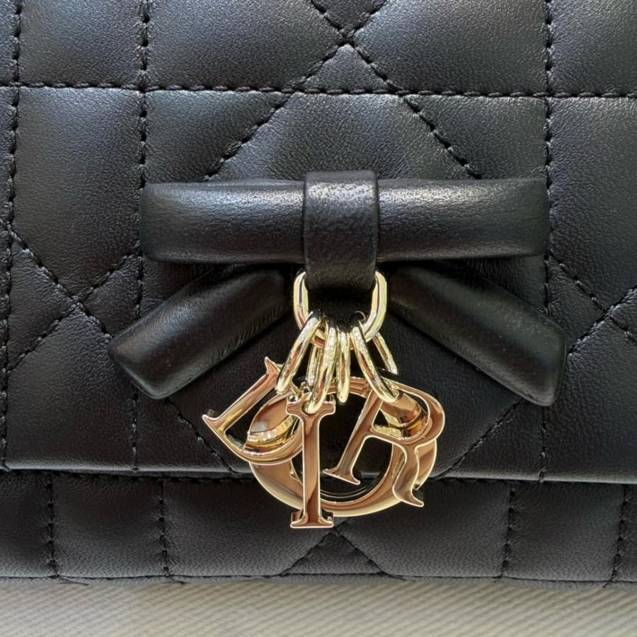 21cm Dior My Tender