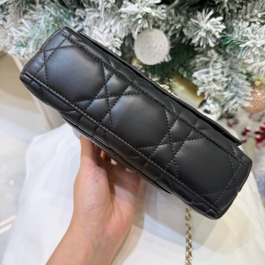 21cm Dior My Tender