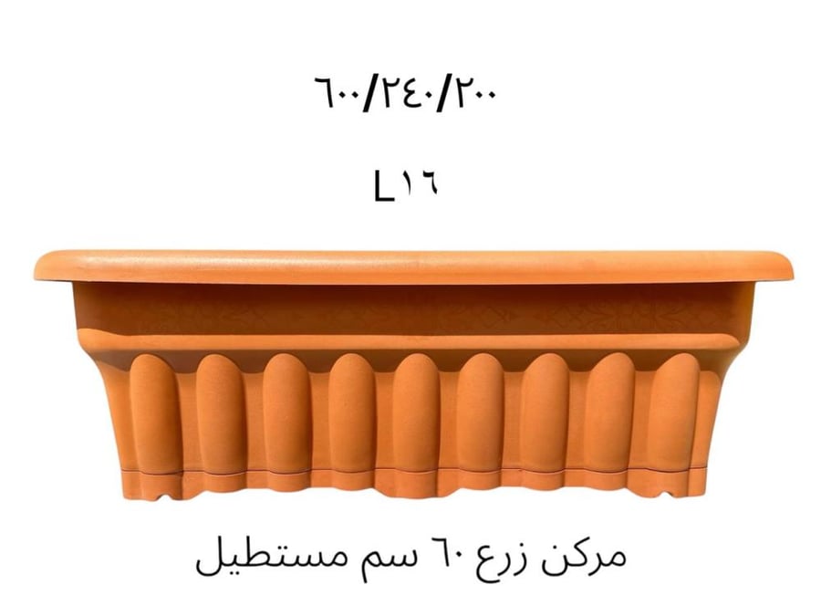 اكزورا نانا lxora coccinea
