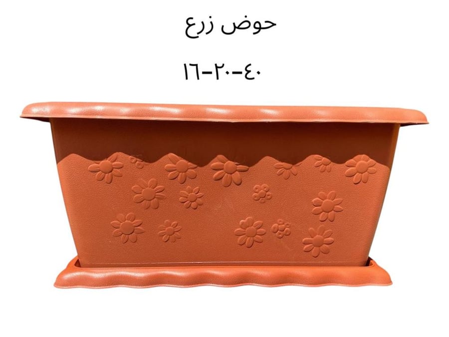اكزورا نانا lxora coccinea