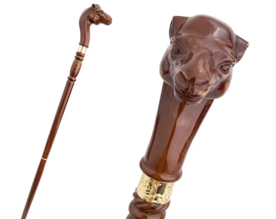 عصا راس ناقة بشكل جديد