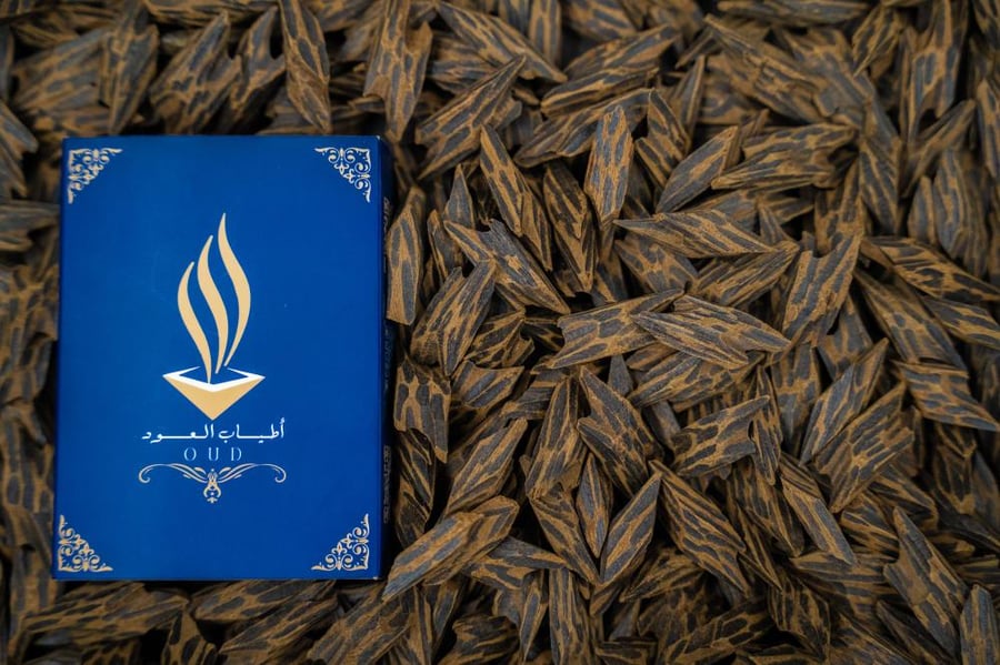 عود تايقر كمبودي