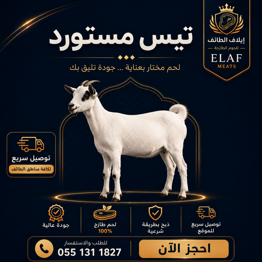 تيس ( مستورد )