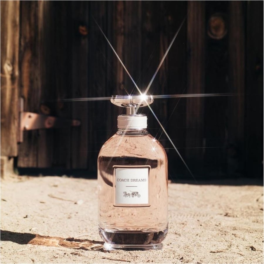 عطر كوتش دريمز أو دو بارفيوم للسيدات 90 مل مع تصميم أنيق وجاذبية