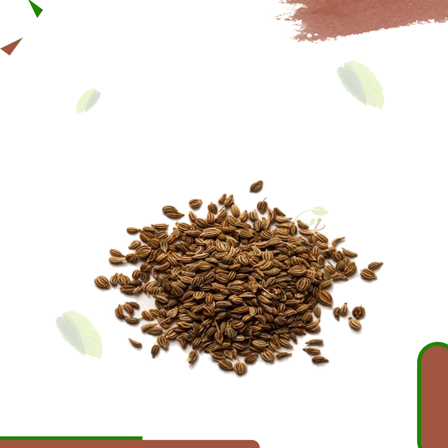 نانخة