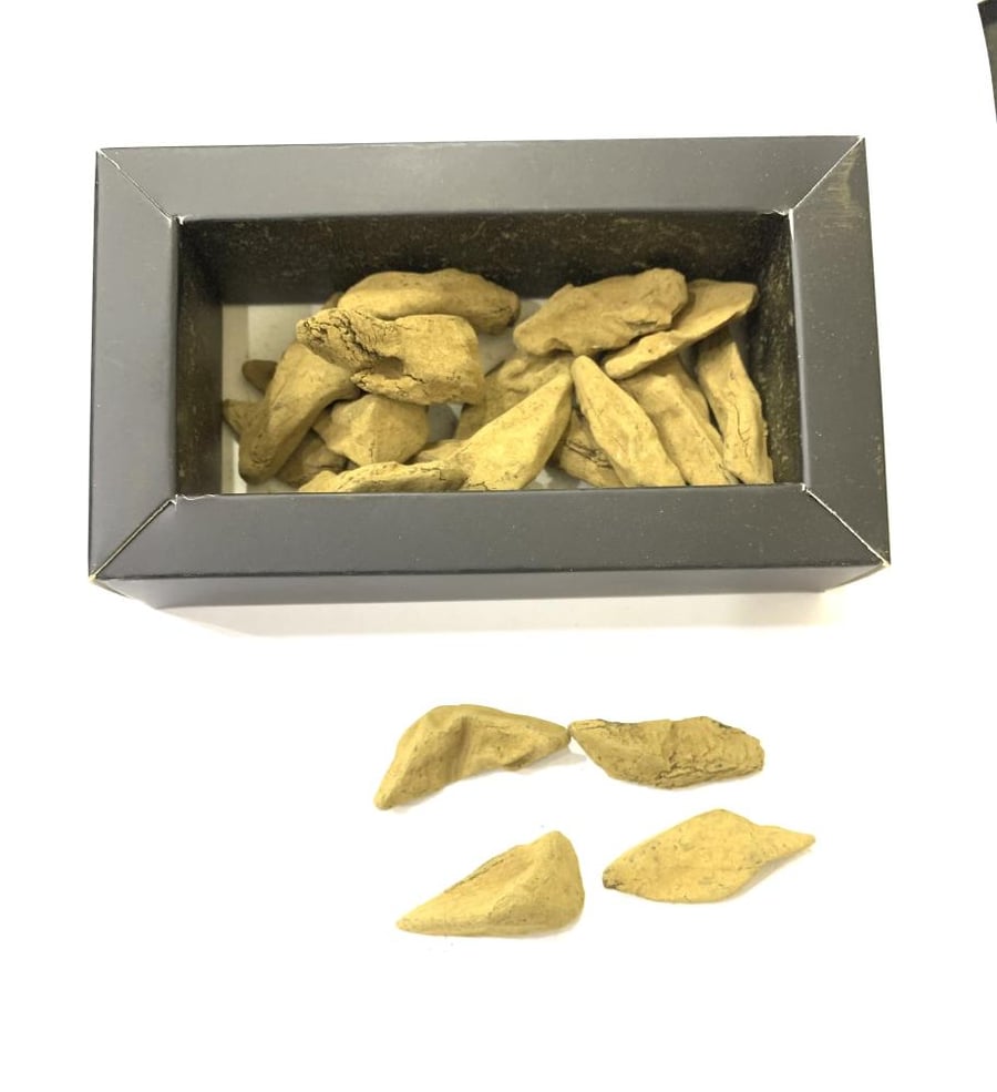 عود موركي مميز