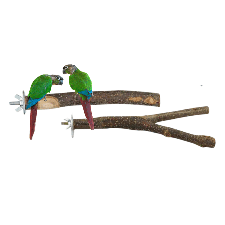 مجثم طيور من قطعتين خشب طبيعي