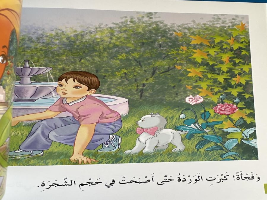 تفكر على اجنحة الورود سلسلة تفكر مع انوس منهاج تفكر دار التفكر الدولي