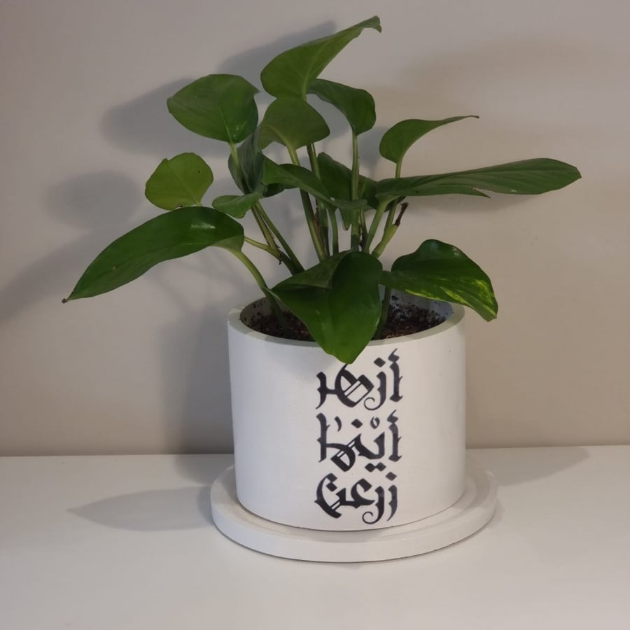 اصيص نبات بعبارة ازهر اينما زرعت
