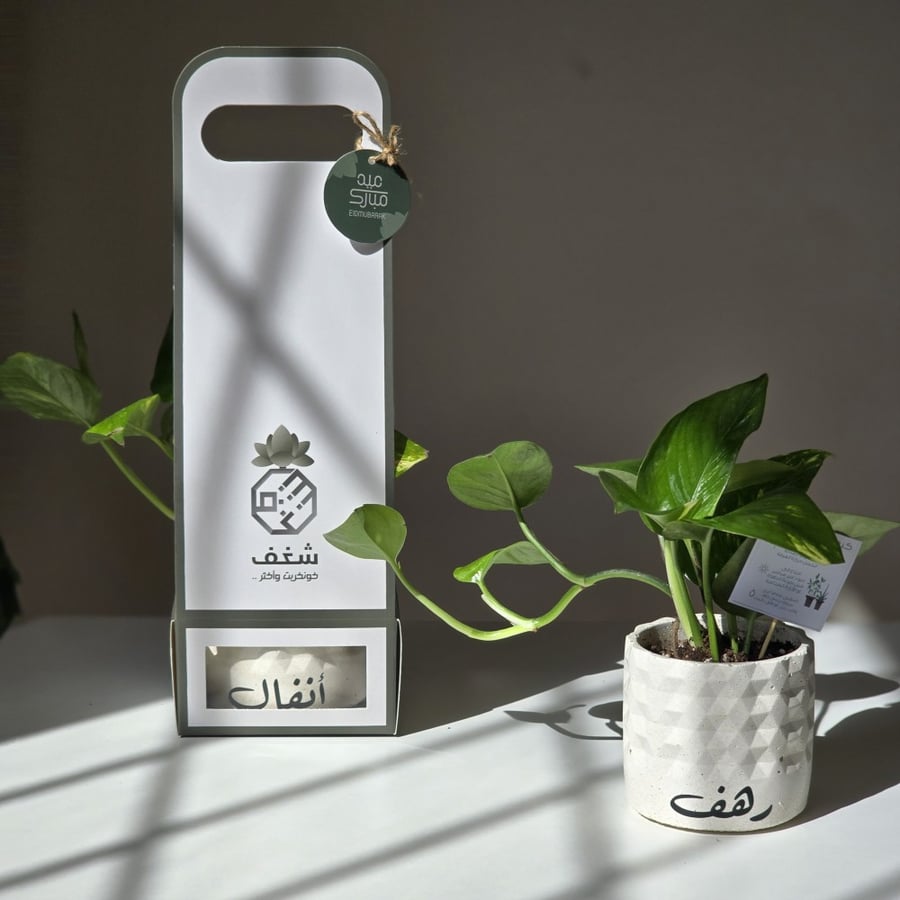 اصيص نبات كونكريت ابيض  بالاسم