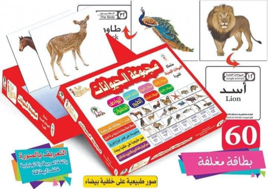 مجموعة الحيوانات