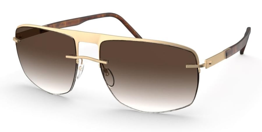 SILHOUETTE 8738