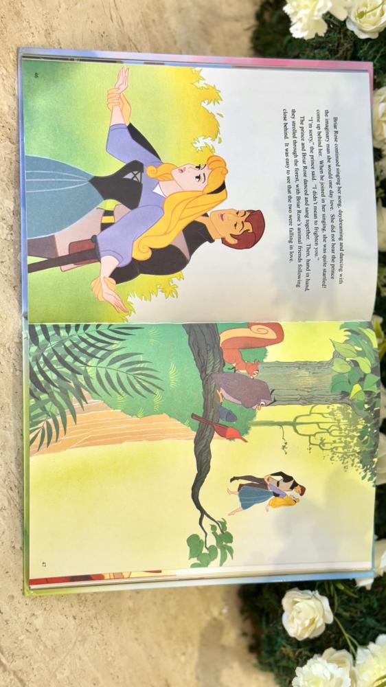 قصة مصورة -  الأميرة النائمة