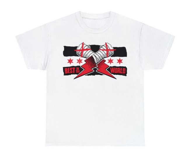 CM Punk Best In The World T Shirt Plain
