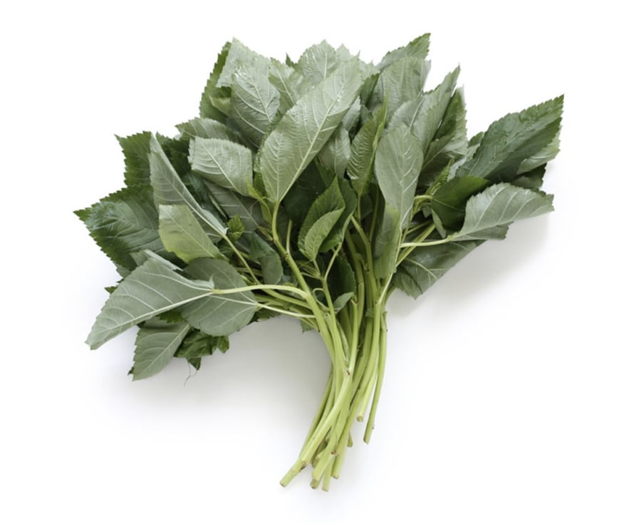 ملوخية ربطة