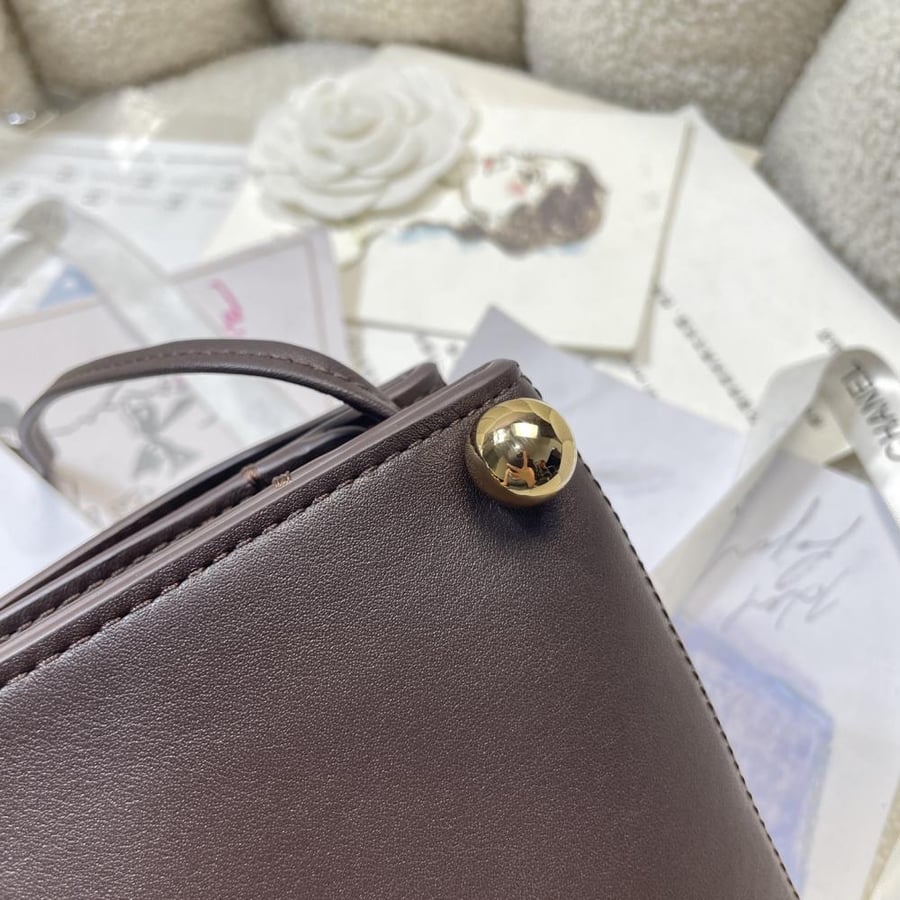 Chanel Hopo bag S2026