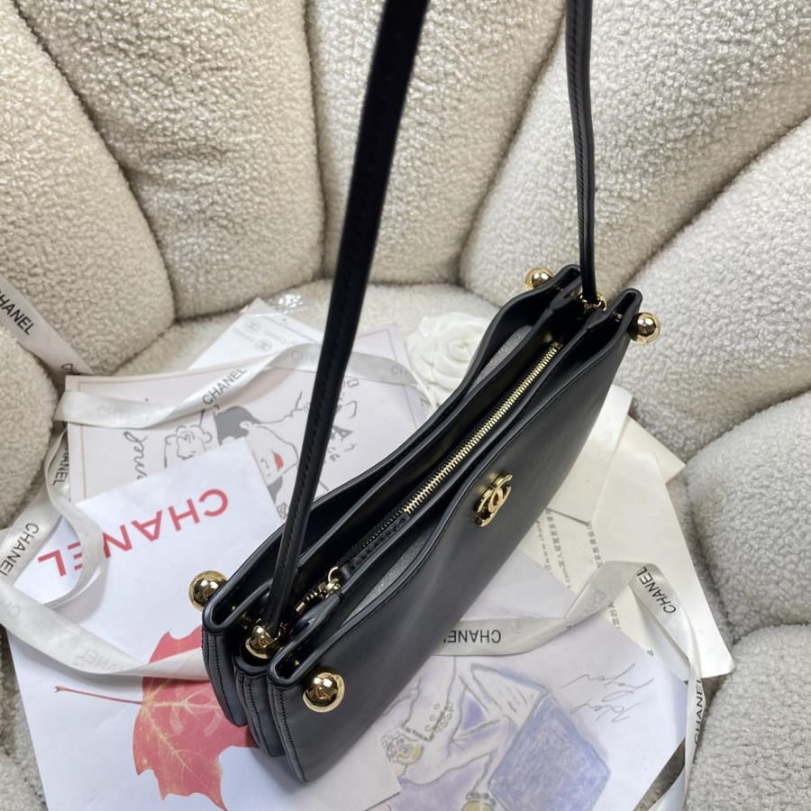 Chanel Hopo bag S2026