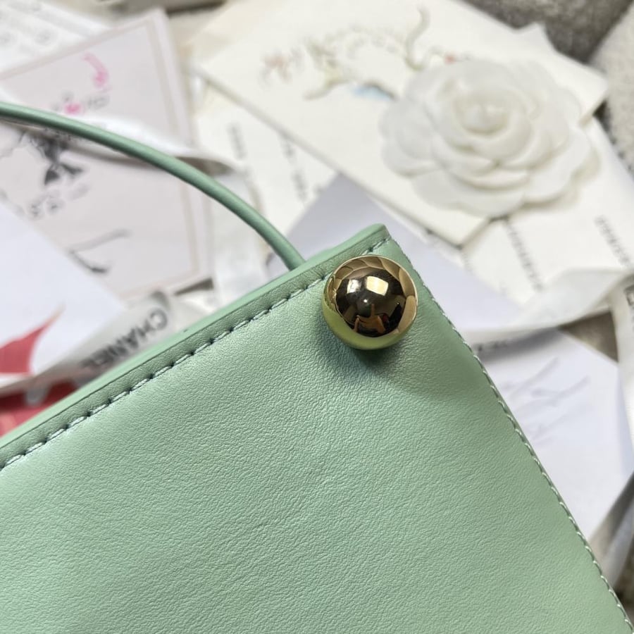 Chanel Hopo bag S2026