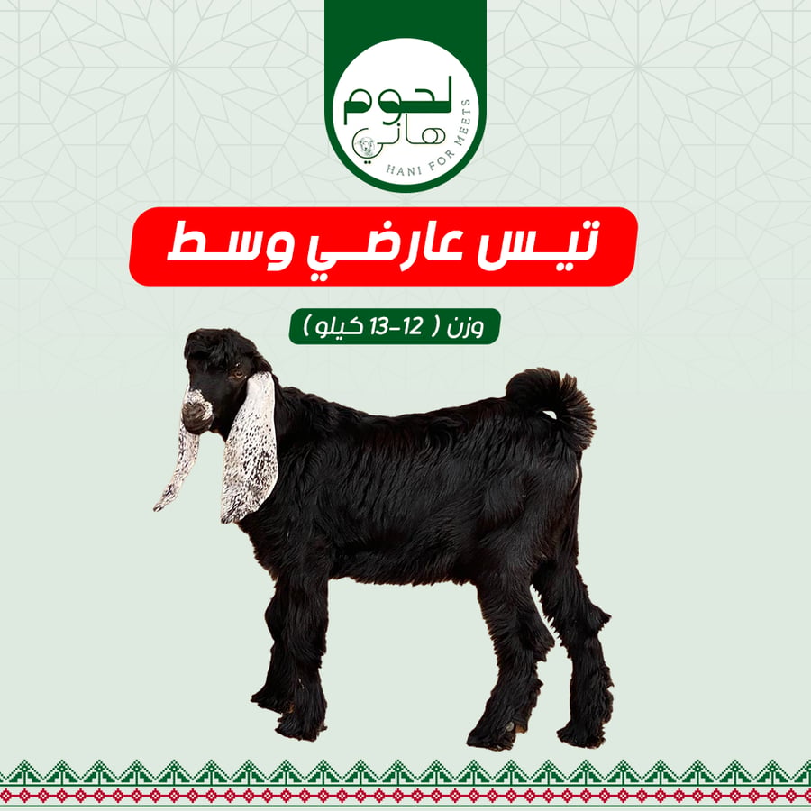 تيس عارضي وسط