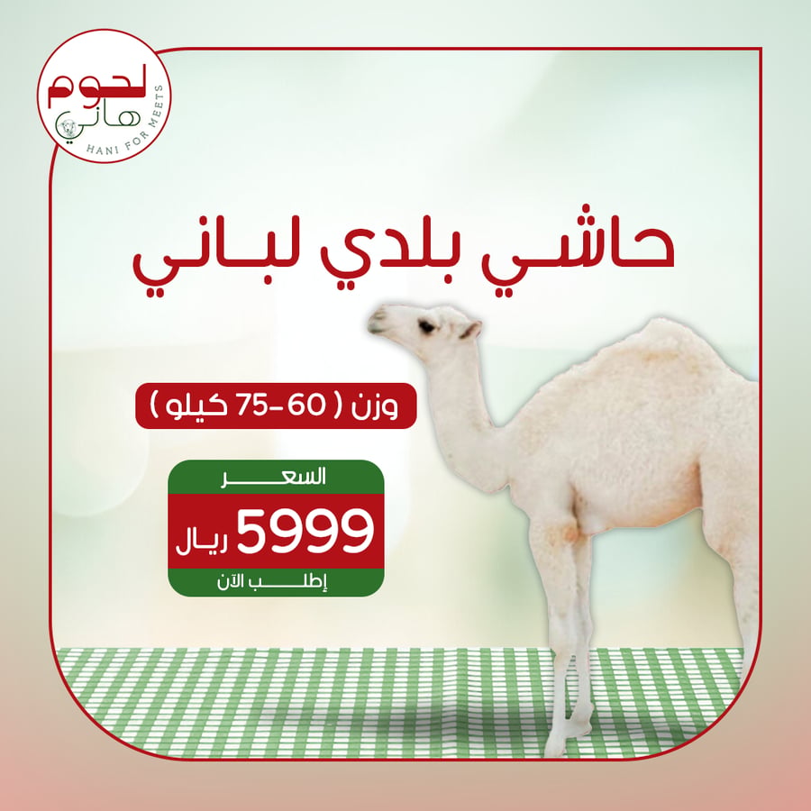 ذبيحة حاشي لباني ٧٠ كيلو تقريبا