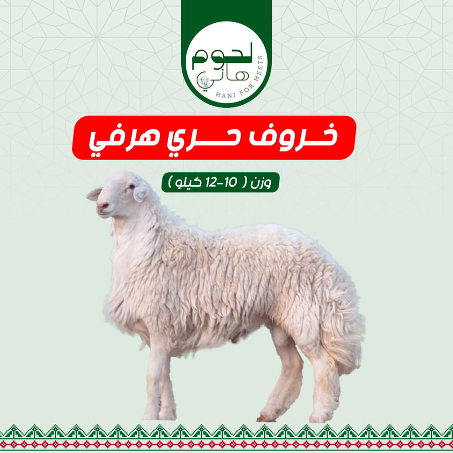 ذبيحة حري هرفي صغير