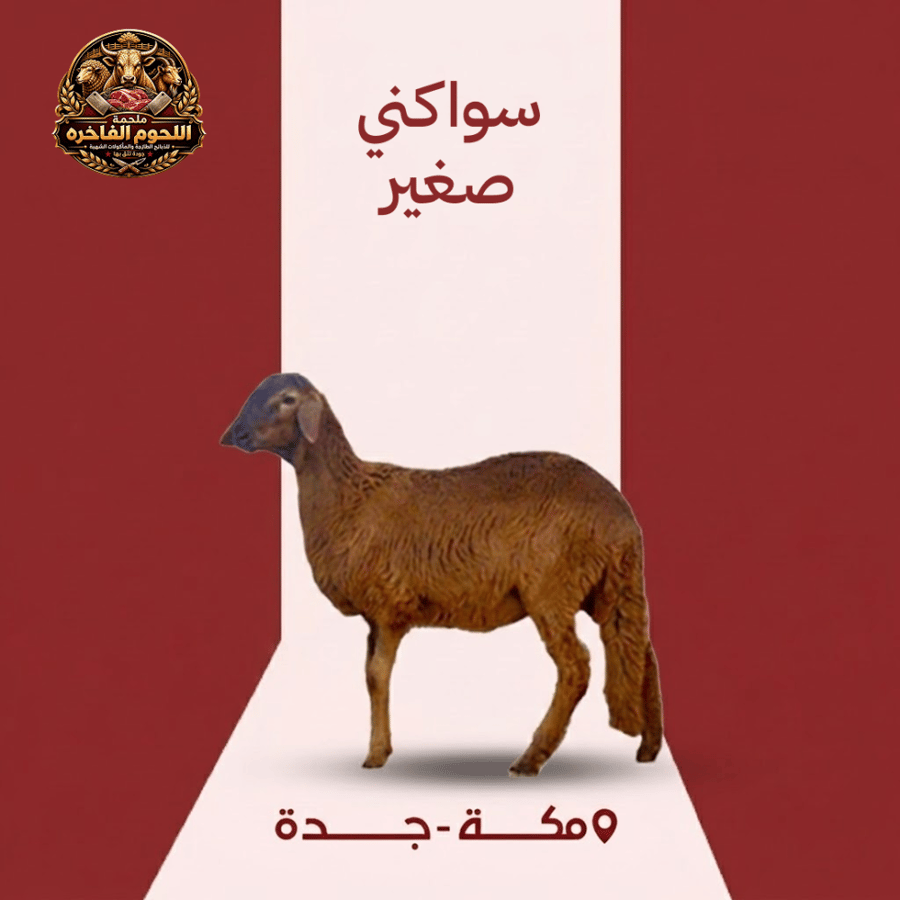 سواكني صغير