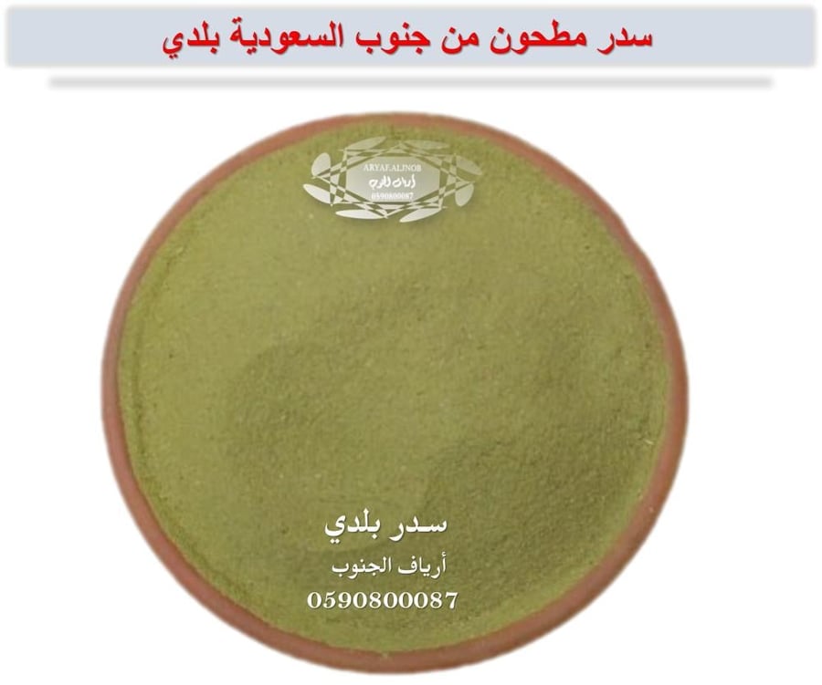 سدر بلدي