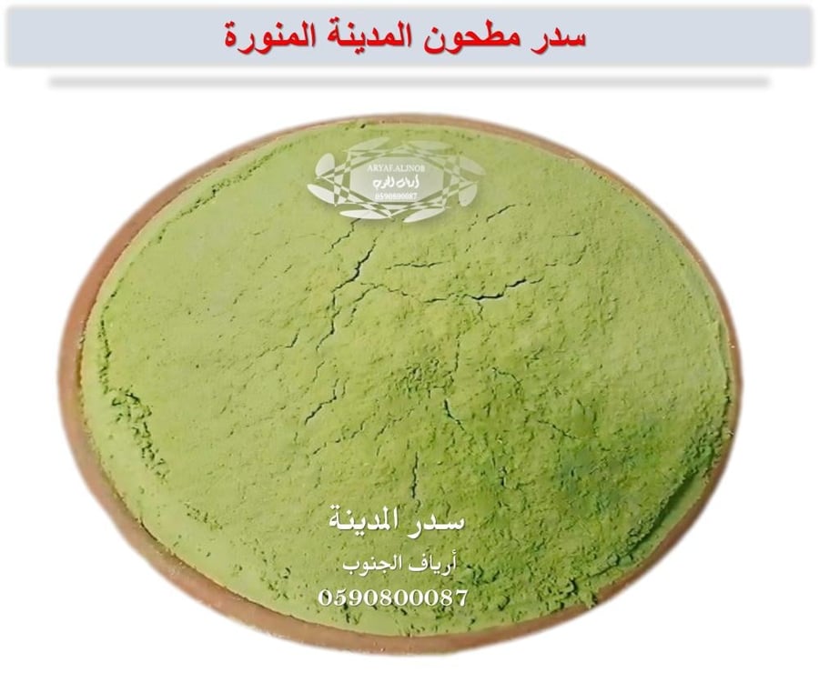 سدر المدينة