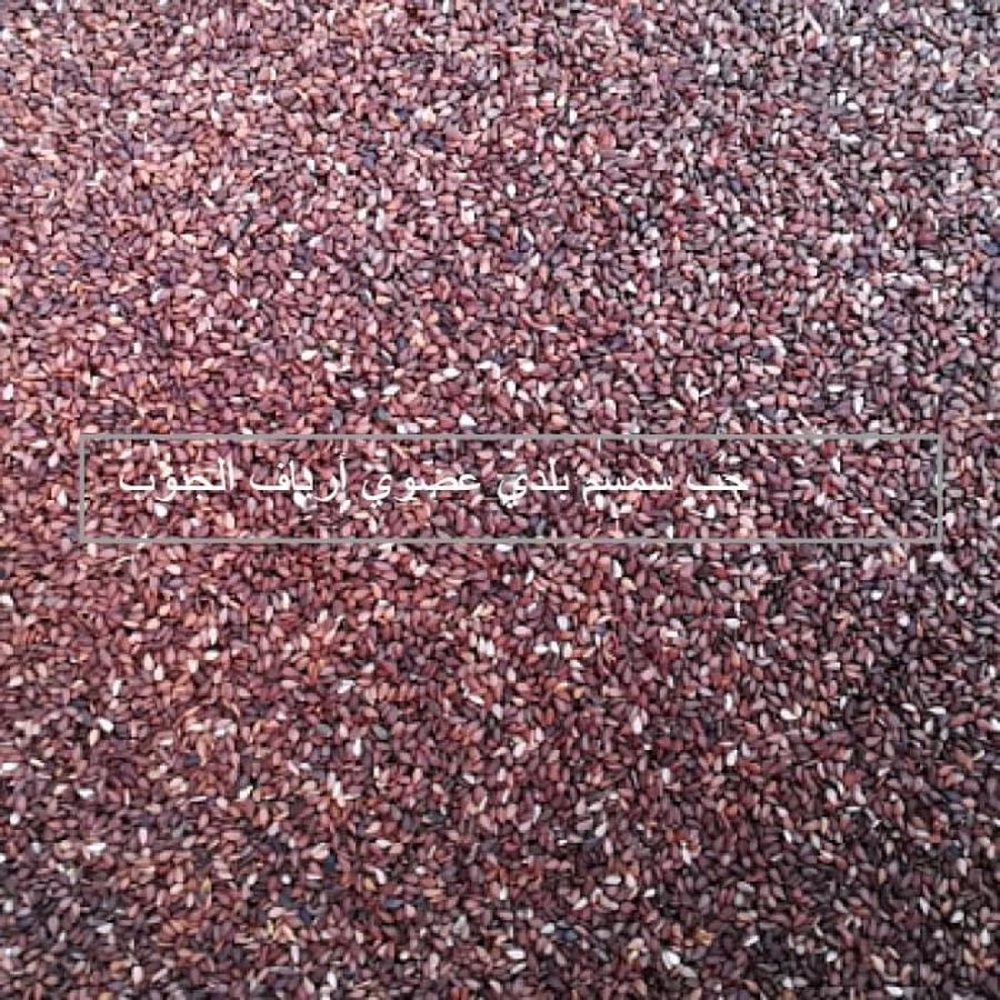 حب السمسم البلدي العضوي