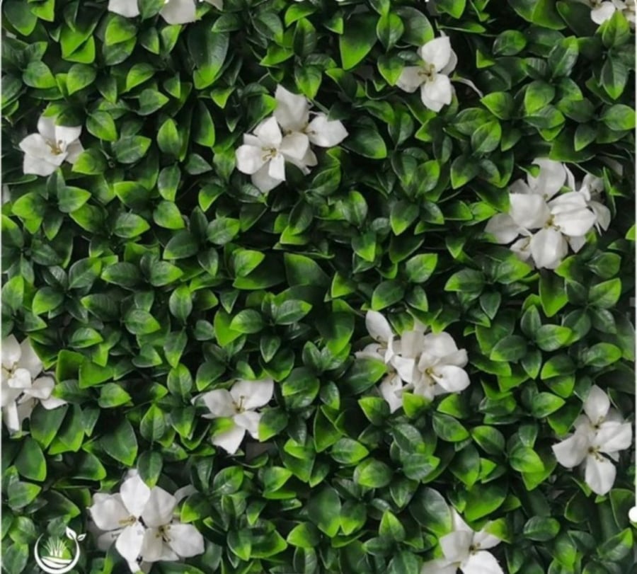 Herb wall paper, lemon leaf, white flower