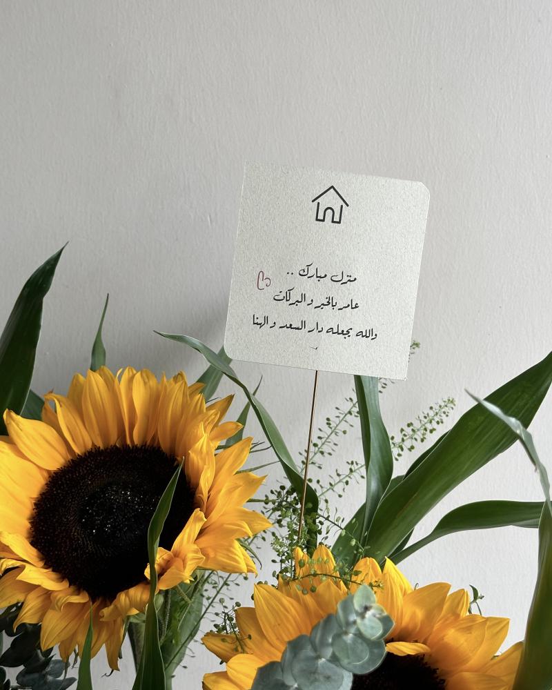 فازة بامبو & دوار الشمس