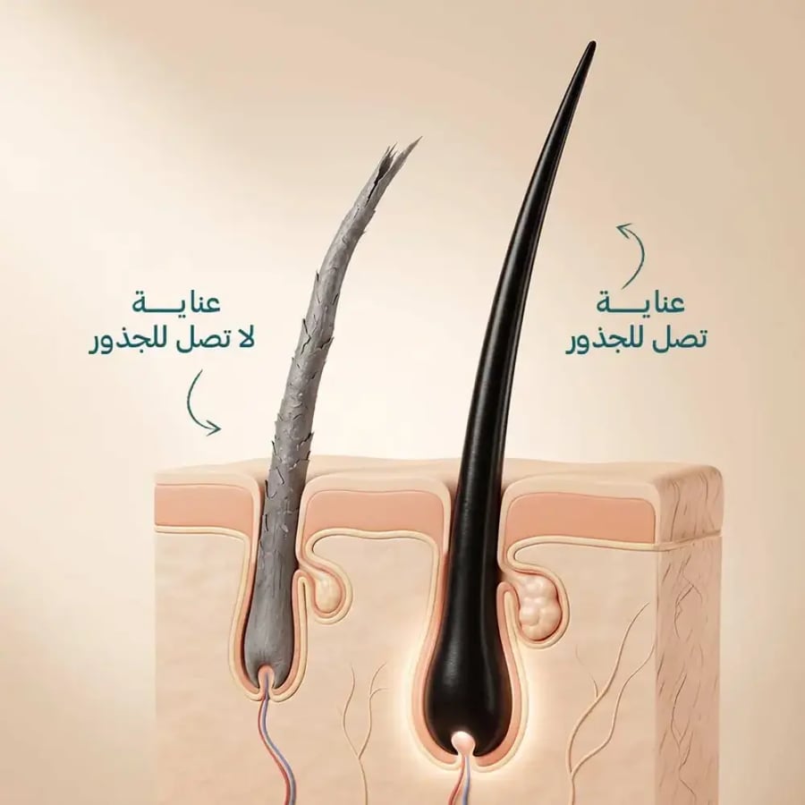 جهاز تدليك فروةالرأس وتنشيط الشعر – Wéva Hair Scalp Massager