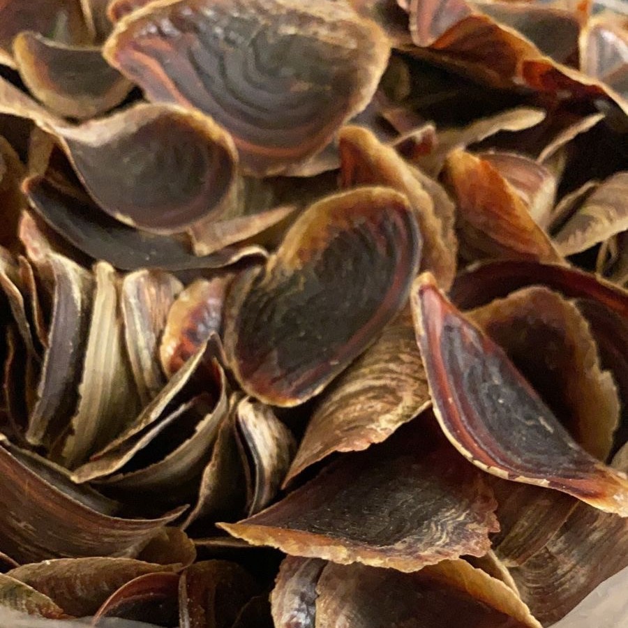 نص كيلو ظفر قشور منظف ومعطر ومطحون