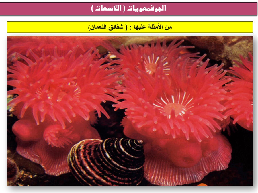علوم اول متوسط-الفصل الدراسي الثاني