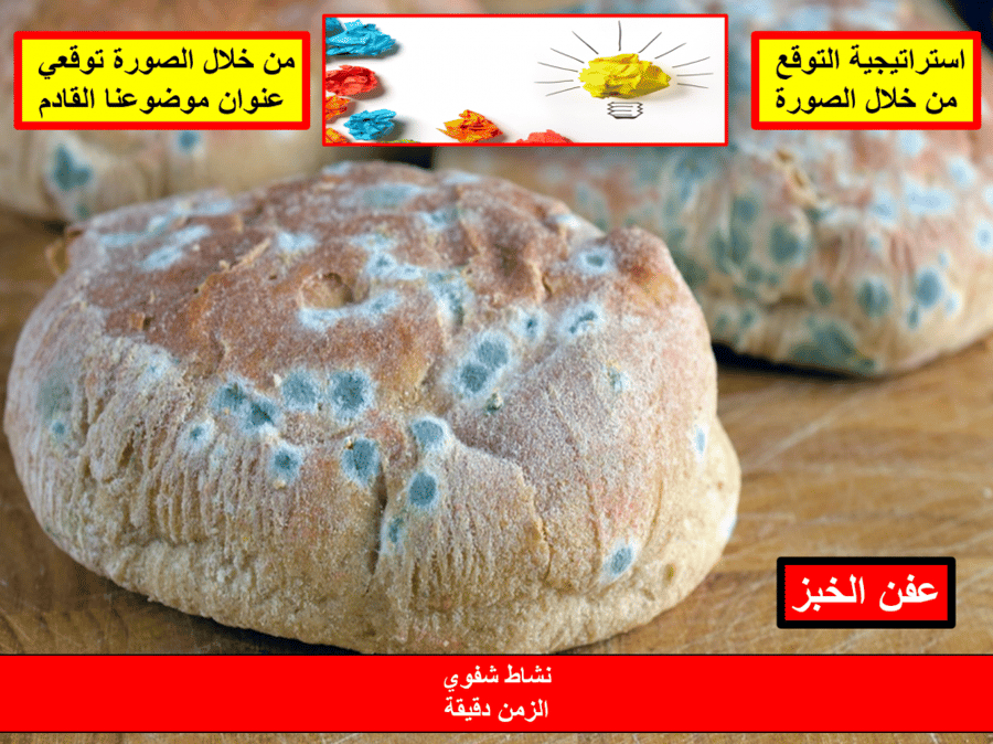 تحضير علوم سادس فصل اول منهاج جديد