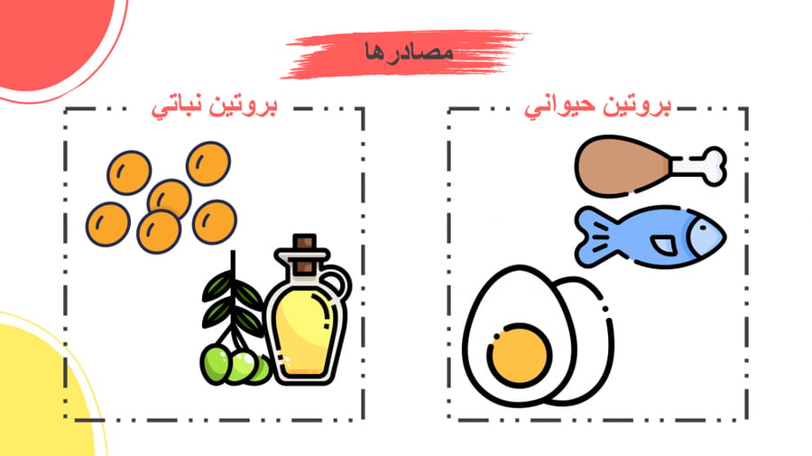 كتاب مهارات حياتية صف خامس الفصل الاول