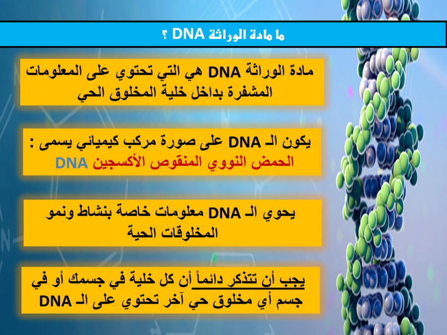 عروض بوربوينت علوم ثالث متوسط