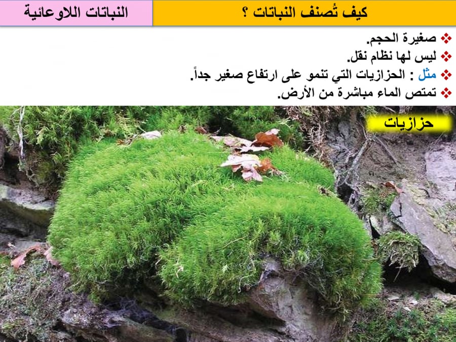 العلوم الصف الخامس الابتدائي الفصل الدراسي الاول