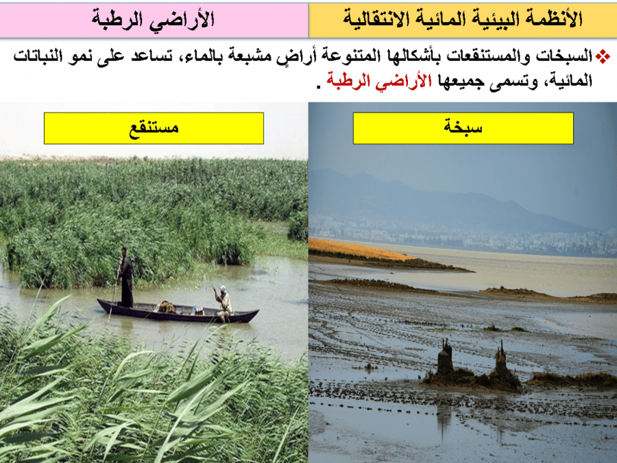 اوراق عمل علم البيئة اول ثانوي