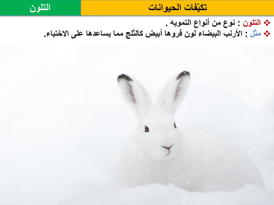 تحضير مادة العلوم للصف الخامس الفصل الاول
