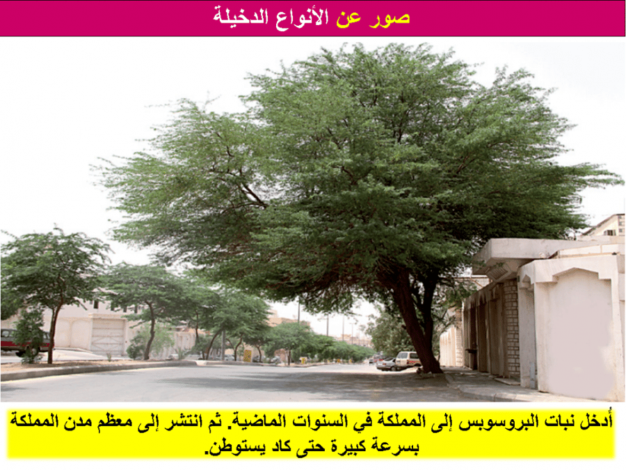 ورق عمل علم البيئة اول ثانوي