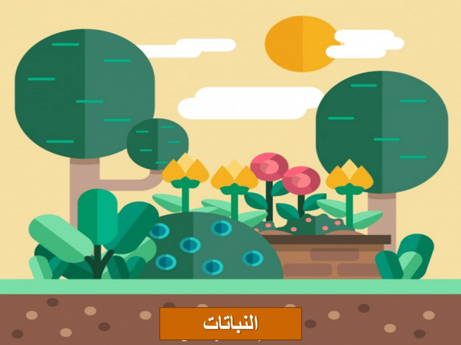 عروض بوربوينت علوم خامس ابتدائي الفصل الأول