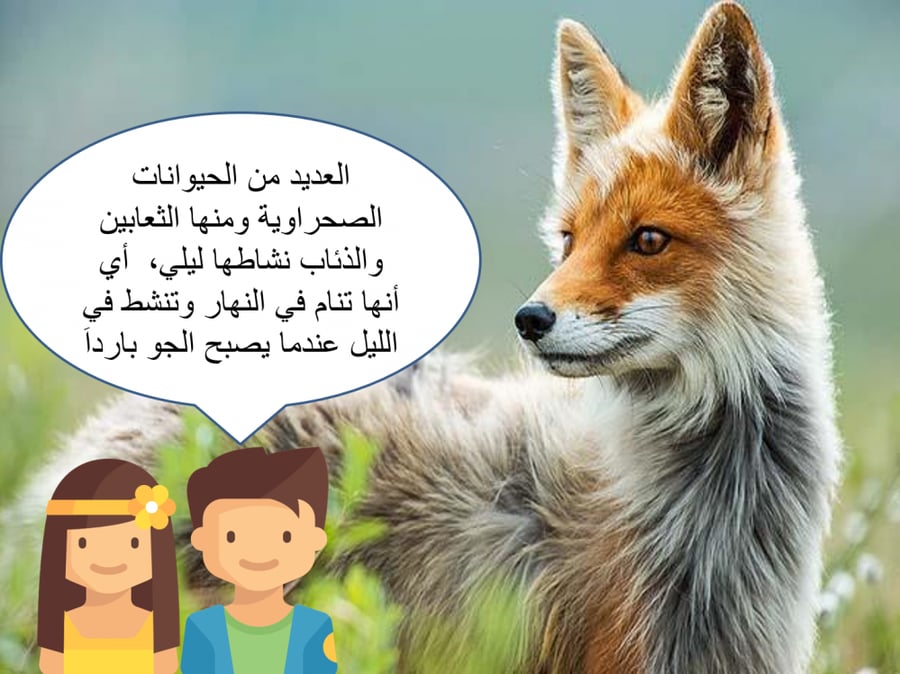 عروض بوربوينت علوم ثالث ابتدائي