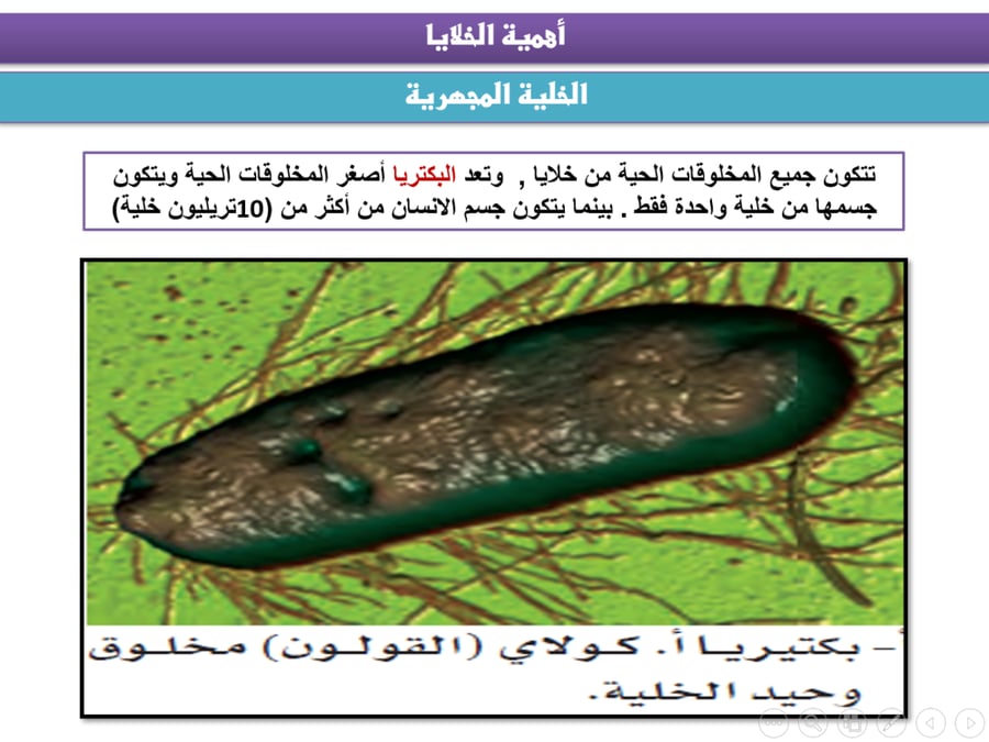 علوم اول متوسط-الفصل الدراسي الثاني