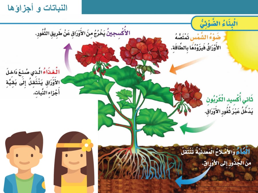 العلوم ثالث ابتدائي الفصل الاول