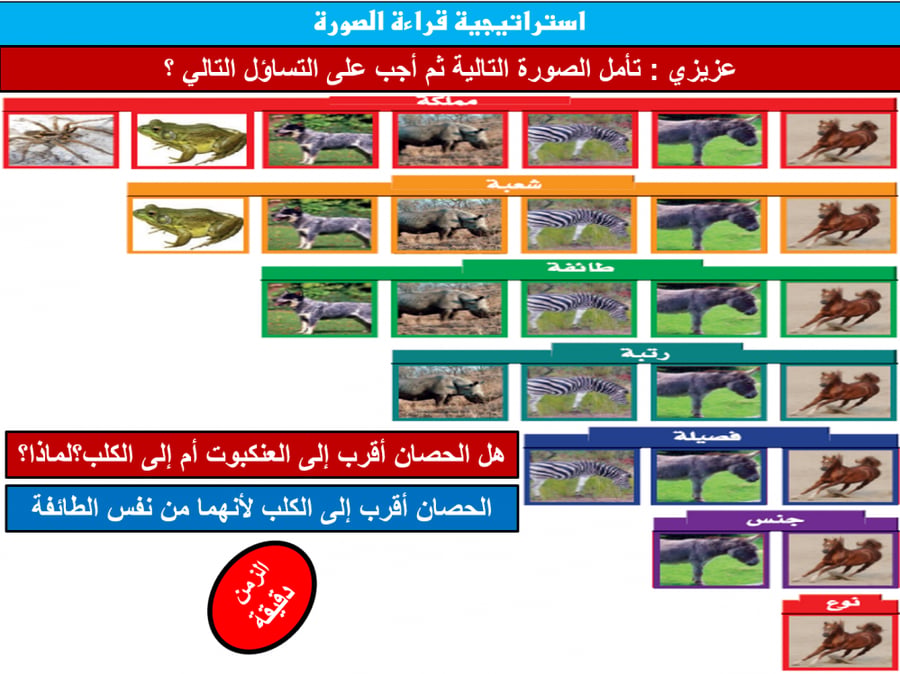 عرض بوربوينت الصف الخامس الابتدائي الفصل الدراسي الأول